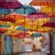Best Umbrellas for Rain and Sun
