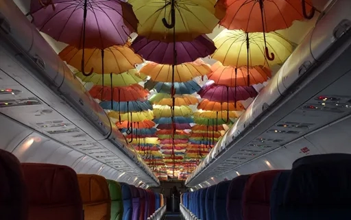 Can You Bring Umbrellas on a Plane?